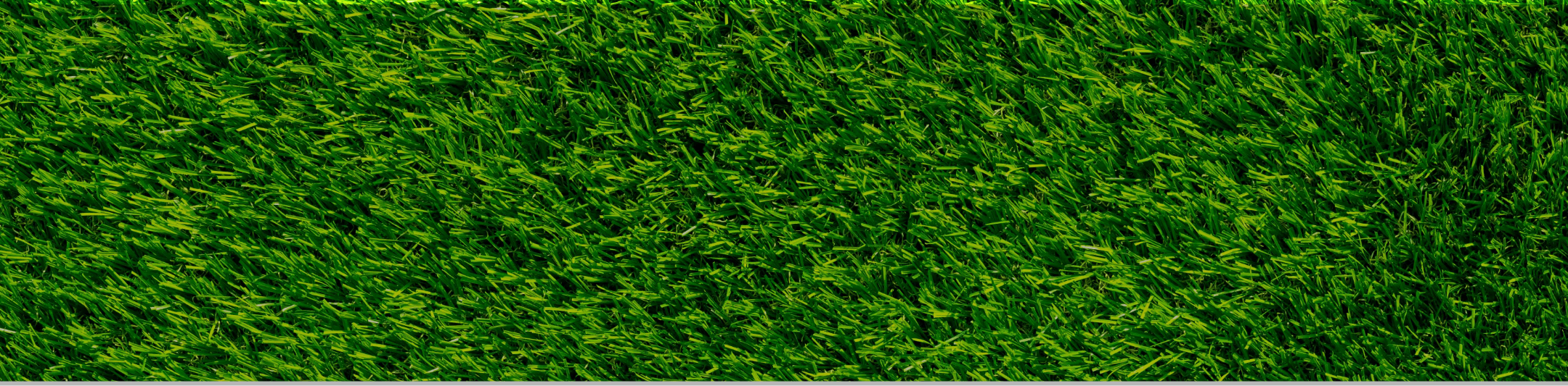 content-background-grass-tint.png